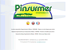 Tablet Screenshot of pinsurmer.com